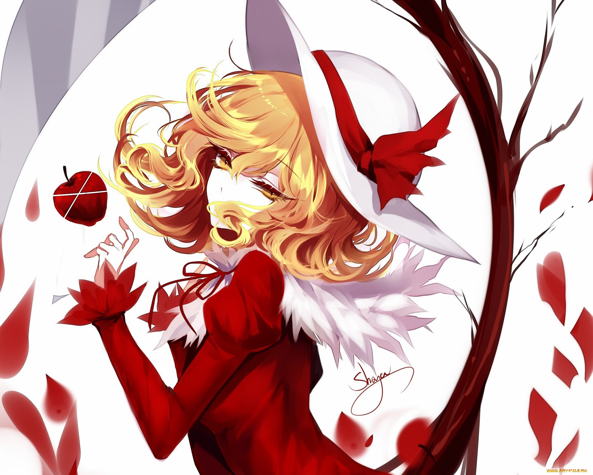 , touhou, 